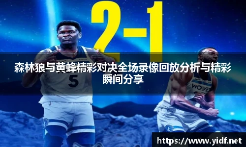 森林狼与黄蜂精彩对决全场录像回放分析与精彩瞬间分享